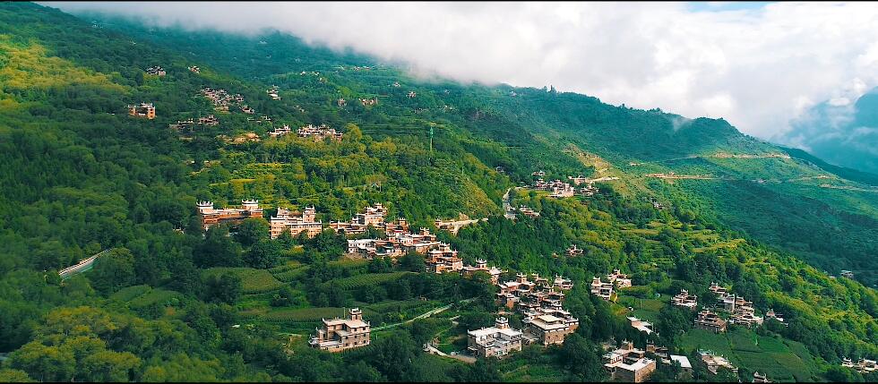 四川省尊龙集团廉洁公益宣传片